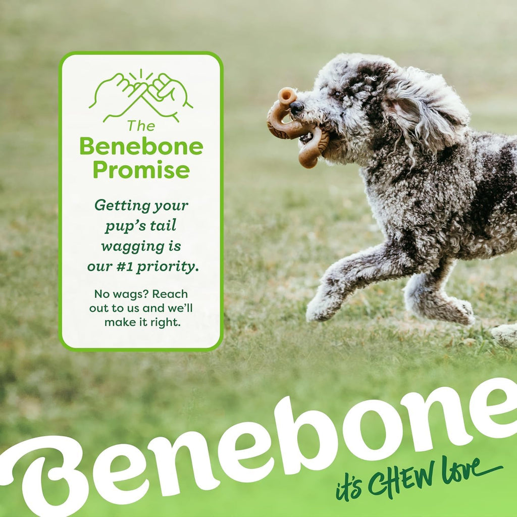 Benebone 7-Pack Dog Chew Toys for Aggressive Chewers, Dog Bones, Medium | Durable, Multipack, Super Chewer, Made in USA, Dog Bones, Long-Lasting, Keeps Them Busy