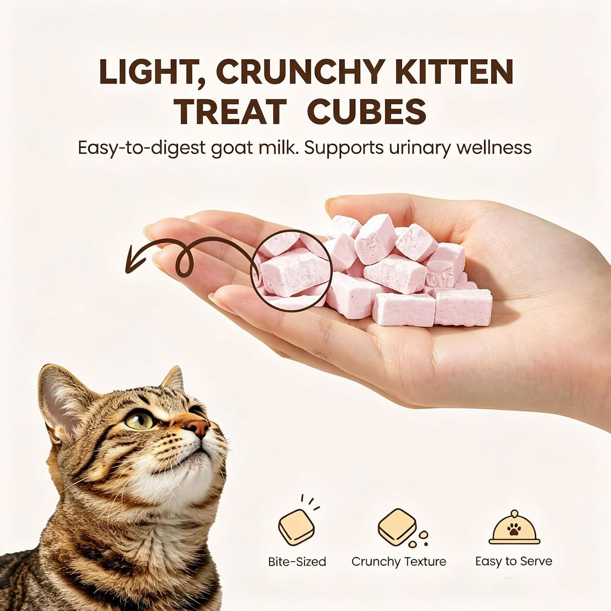 Freeze Dried Cat Treats Chicken with Goat Milk, Cranberry