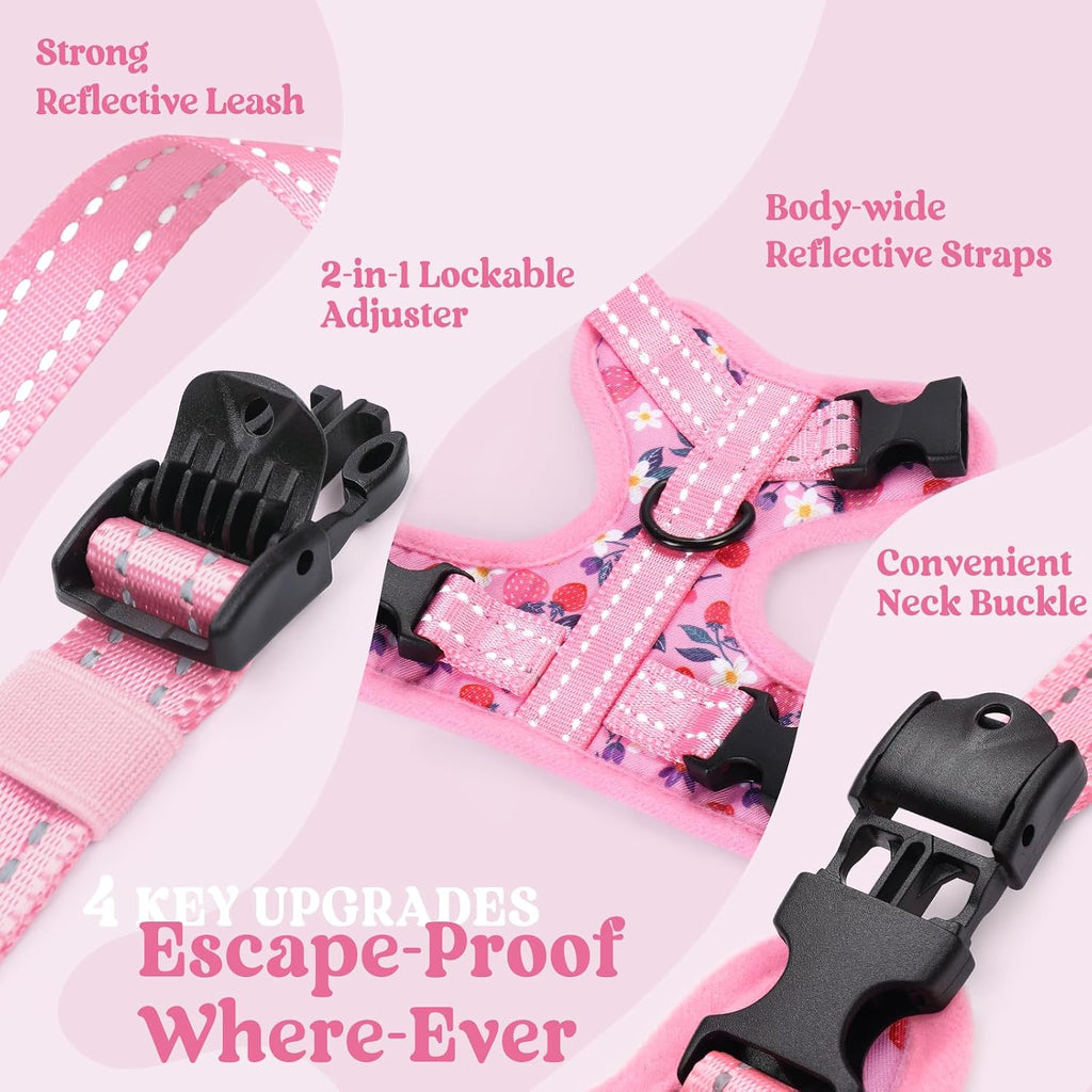 rabbitgoo Cat Harness and Leash Set, Easy-on with Neck Buckle, Berry Bloom