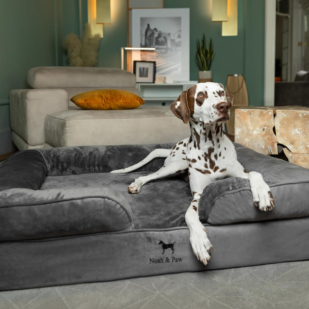 NOAH & PAW Large Dog Bed, Orthopedic Memory Cooling Foam (2X Base) 45x35x11
