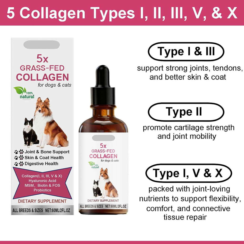 Collagen for Dogs & Cats, 5 Types Collagen for Hip and Joints, Skin & Coat