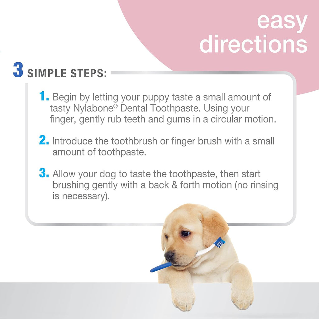 Nylabone Advanced Oral Care Puppy Dental Kit Puppy Original 3 Count 