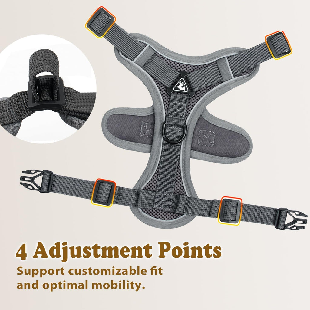 Cat Harness and Leash for Walking, Escape Proof Soft Adjustable Vest Harnesses for Cats (Grey, S : Cat Weight 3.3-6.6 LB)