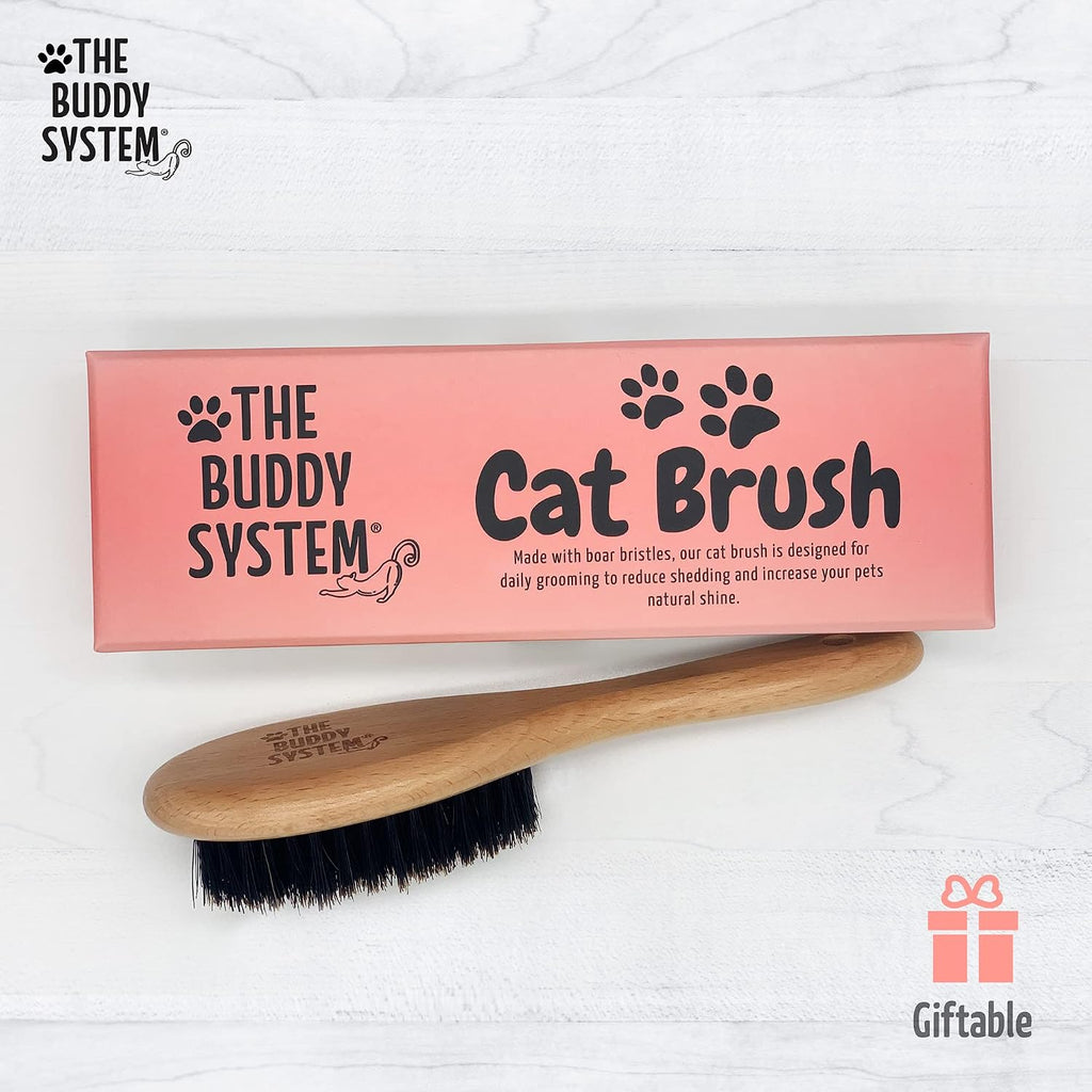The Buddy System - Soft Cat Brush with Boar Bristles, 1 Pack | Cat brush with wooden handle, daily grooming pet brush, reduce shedding and gives coat a healthy shine - boar bristles 