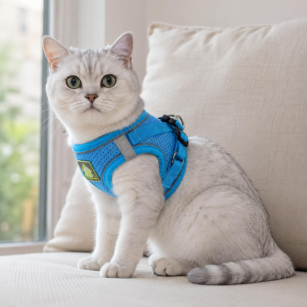 Cat Vest Harness and Leash Set, Escape Proof Kitten Harness Blue XS