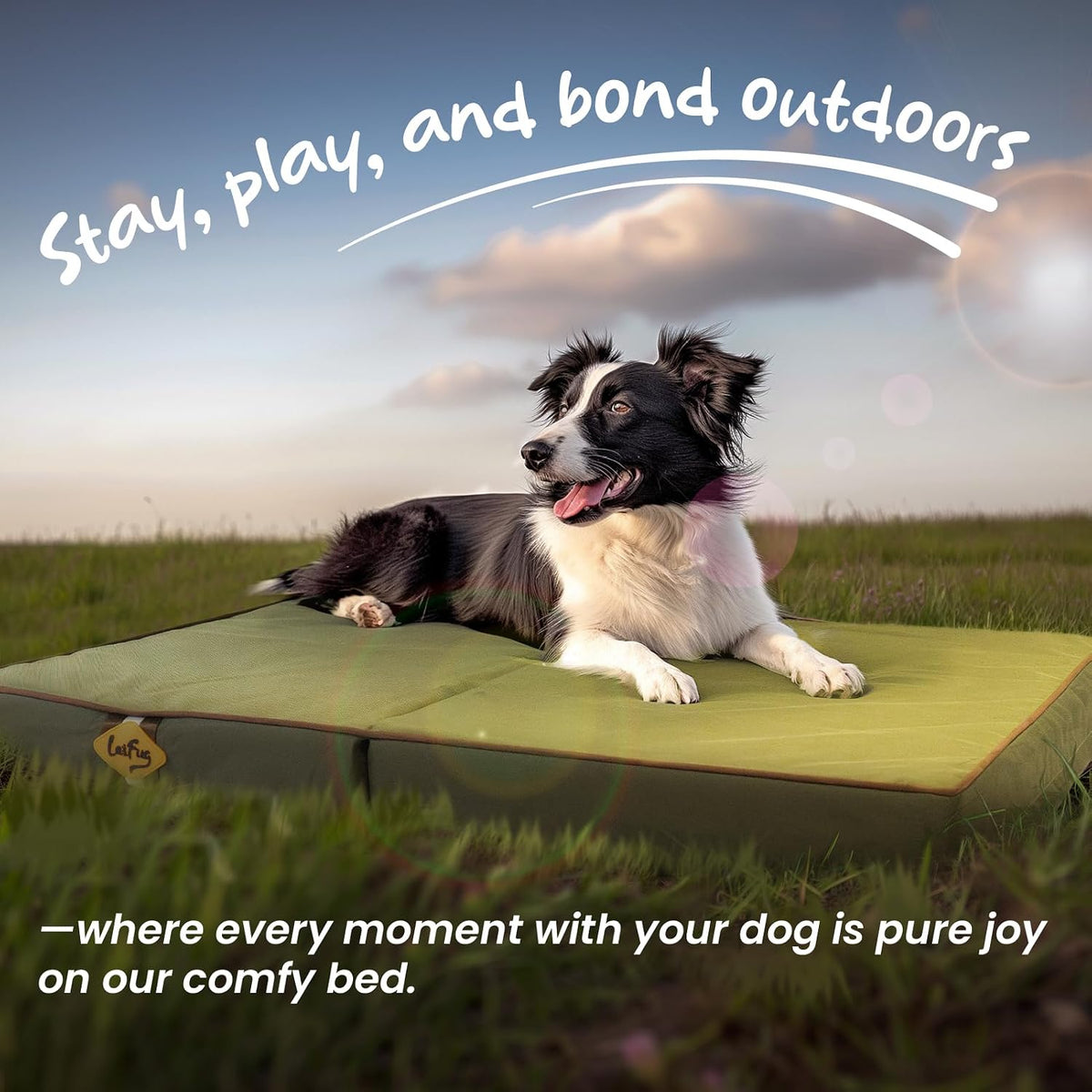 Laifug Outdoor Foldable Waterproof Dog Bed,Army Green,(36''x27''x3.5'')
