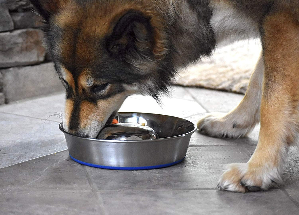 OurPets DuraPet Slow Feed Premium Stainless Steel Bowl (Heavyweight Durable Stainless Steel Bowls, Dog Food Bowl, and Dog Water Bowl) Great Alternative to Snuffle Mat for Dogs-Medium | Helps pace rapid eaters, durable easy clean design, an alternative ...