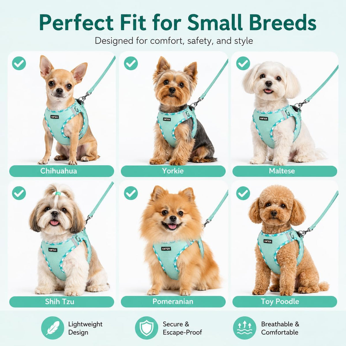AMTOR Small Dog Harness with Leash Set, No Escape Easy Walk Puppy Harnesses for Training Walking, Step-in Reflective Soft Dogs Vest for XS S Medium Extra-Small Large Sized Dog(Green,S)