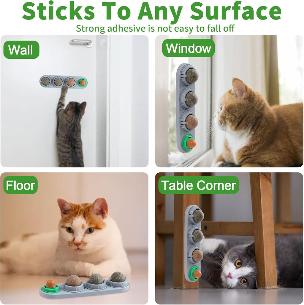 CCINEE Catnip Balls for Cats Wall Catnip Toys Edible Cat Toys for Cat Lick Safe Healthy Kitten Chew Toys Teeth Cleaning Dental Cat Toys(4 Flavor)
