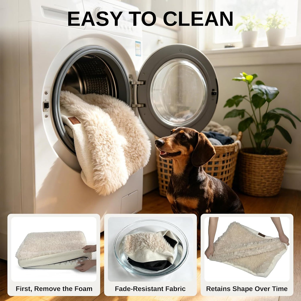 Orthopedic Dog Bed for Small Dogs, Egg Crate Foam, Non-Slip Bottom,Beige