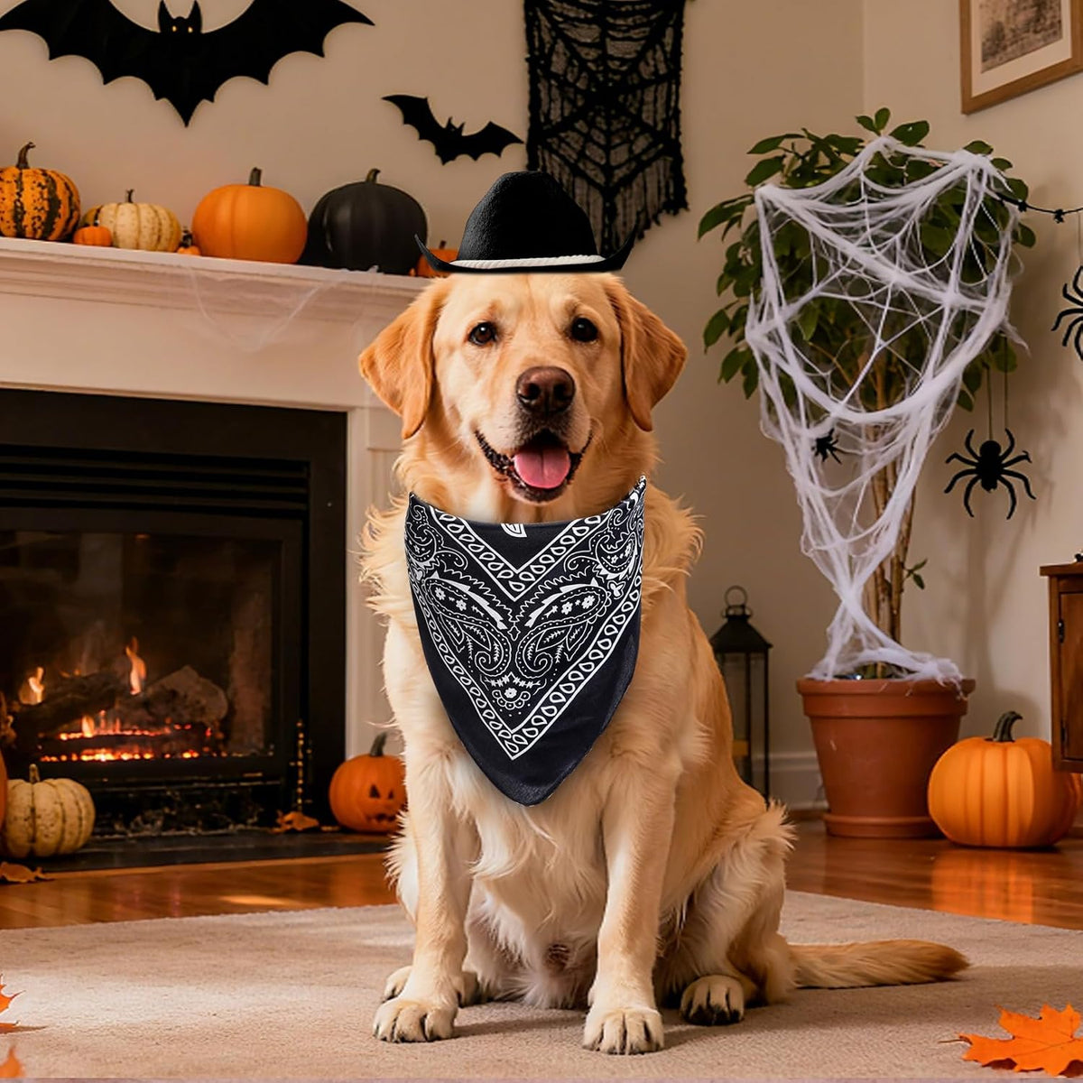choyaxo Dog Cowboy Hat Dog Cowboy Costume for Small Pet Dogs Cat Cowboy Hat with Bandana Scarf Set Party Accessories (Black, Large)