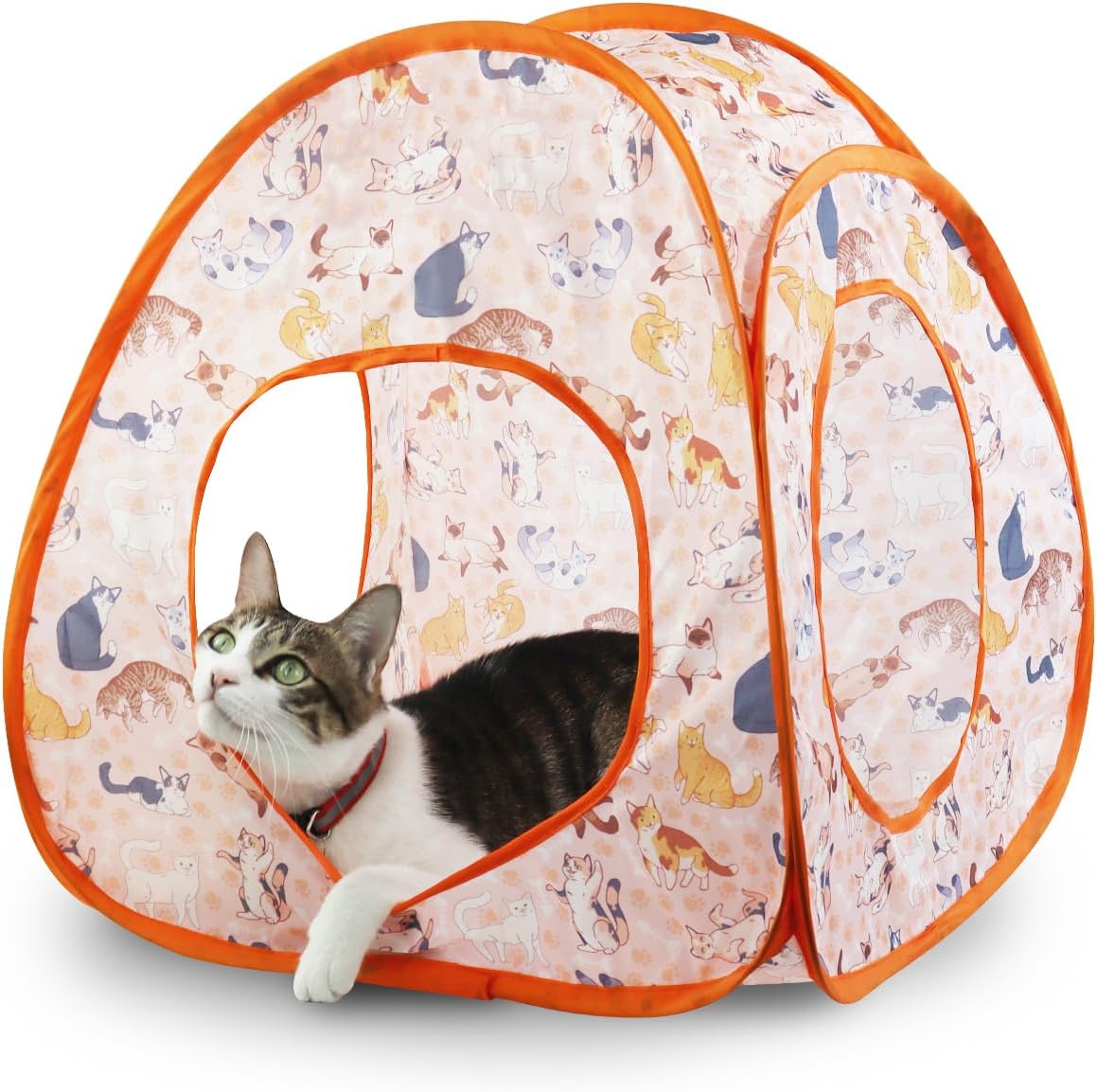 Andiker Cat Tent, 3 Holes Safe and Strong Cute Cats Tunnel Collapsible Easy to Carry Cat House for Indoor Cats Kittens Hiding Playing Training Sleeping (Tent Orange)