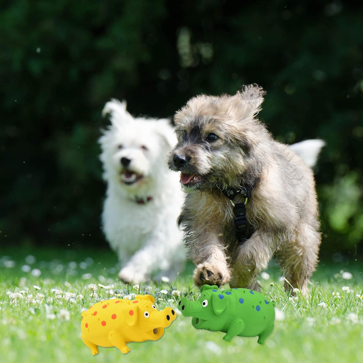 Squeaky Pig Dog Toy, 2 PCS Durable Latex Rubber Dog Toys for Chewing