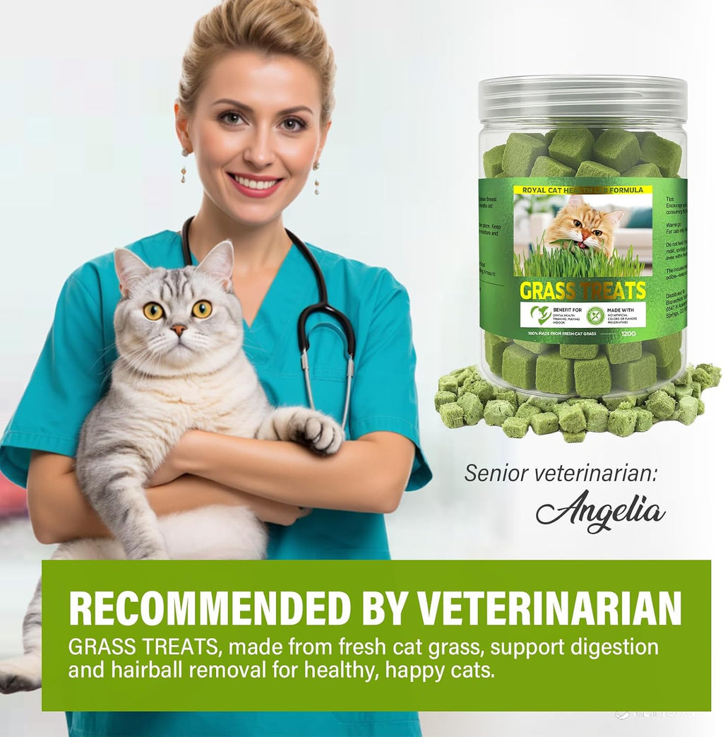 AiRunTech Cat Grass Treats, Cat Grass for Indoor Cats, 120g