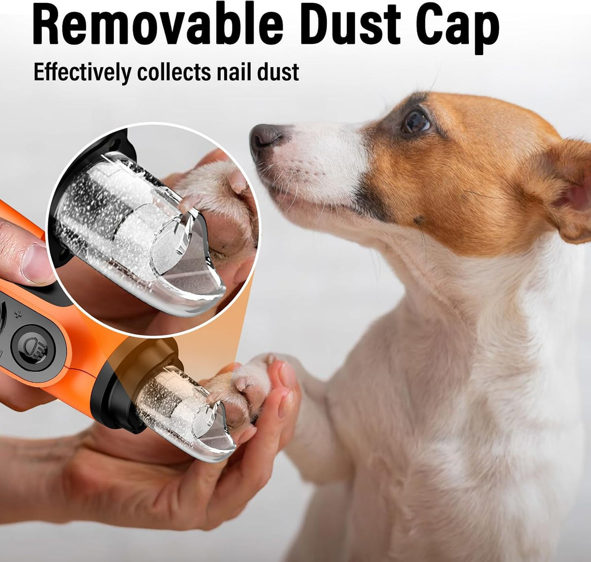 Casfuy Smart 6-Speed Dog Nail Grinder with LED Lights Safe for All Dogs Cat