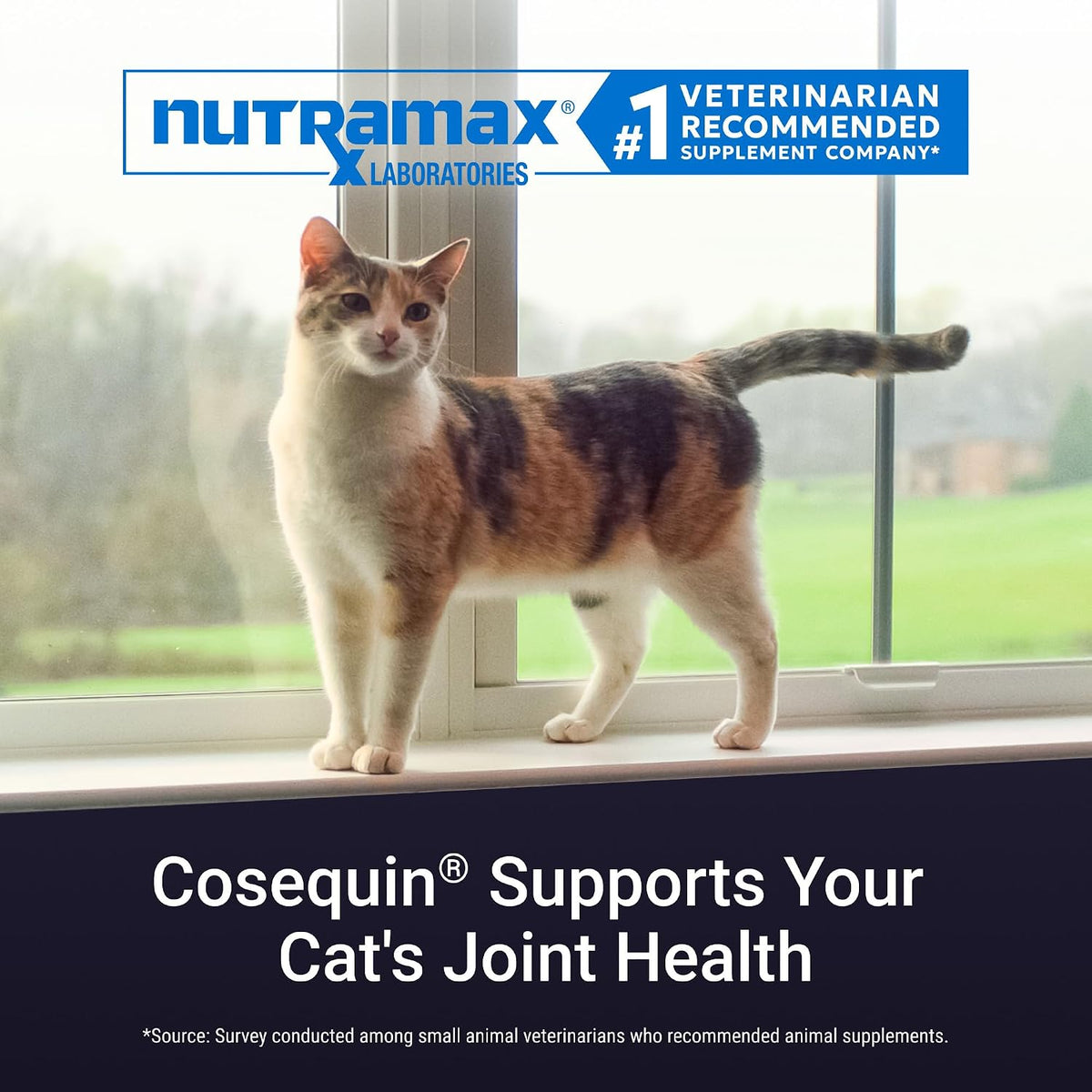 Nutramax Cosequin Joint Supplement for Cats, Easy Sprinkle Capsule, 60ct