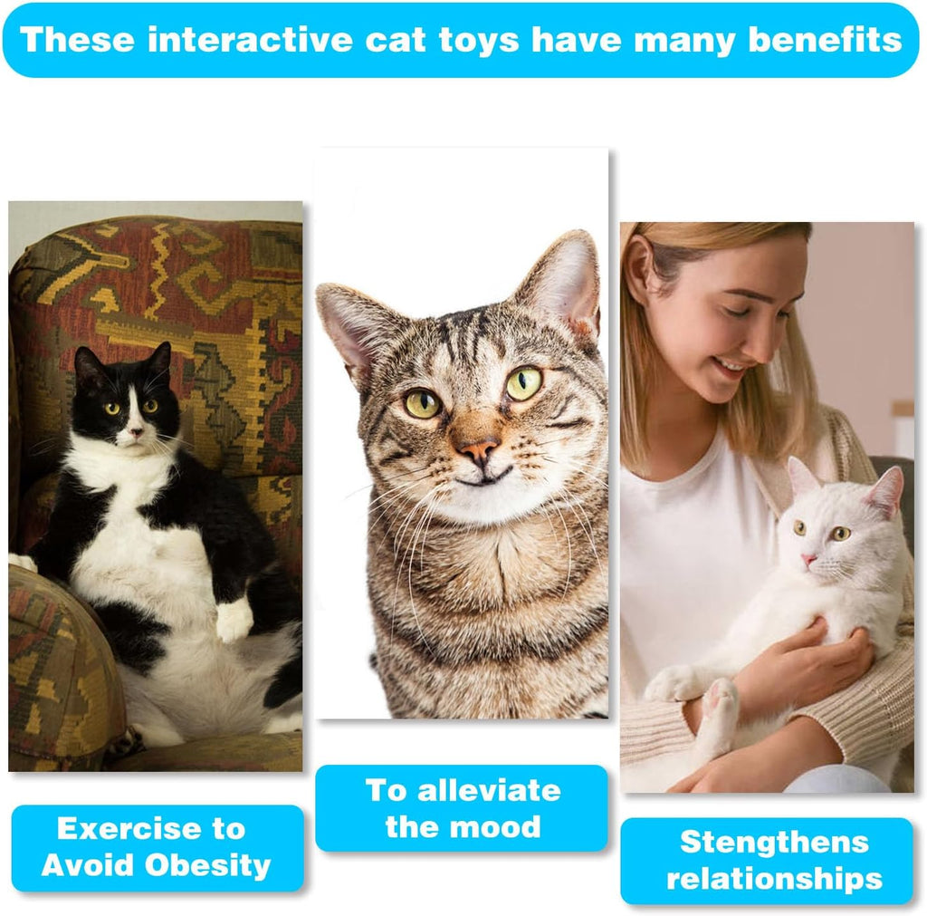 Retractable Cat Toy Wand 12 Packs Interactive Cat Feather Toys | , 9 Assorted Teaser Refills with Bell for Kitten (Pink)