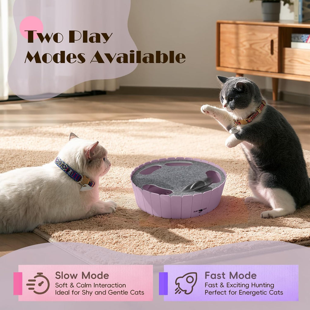 Pawaboo Interactive Cat Toy with Running Mouse, Automatic Track Kitten Toy