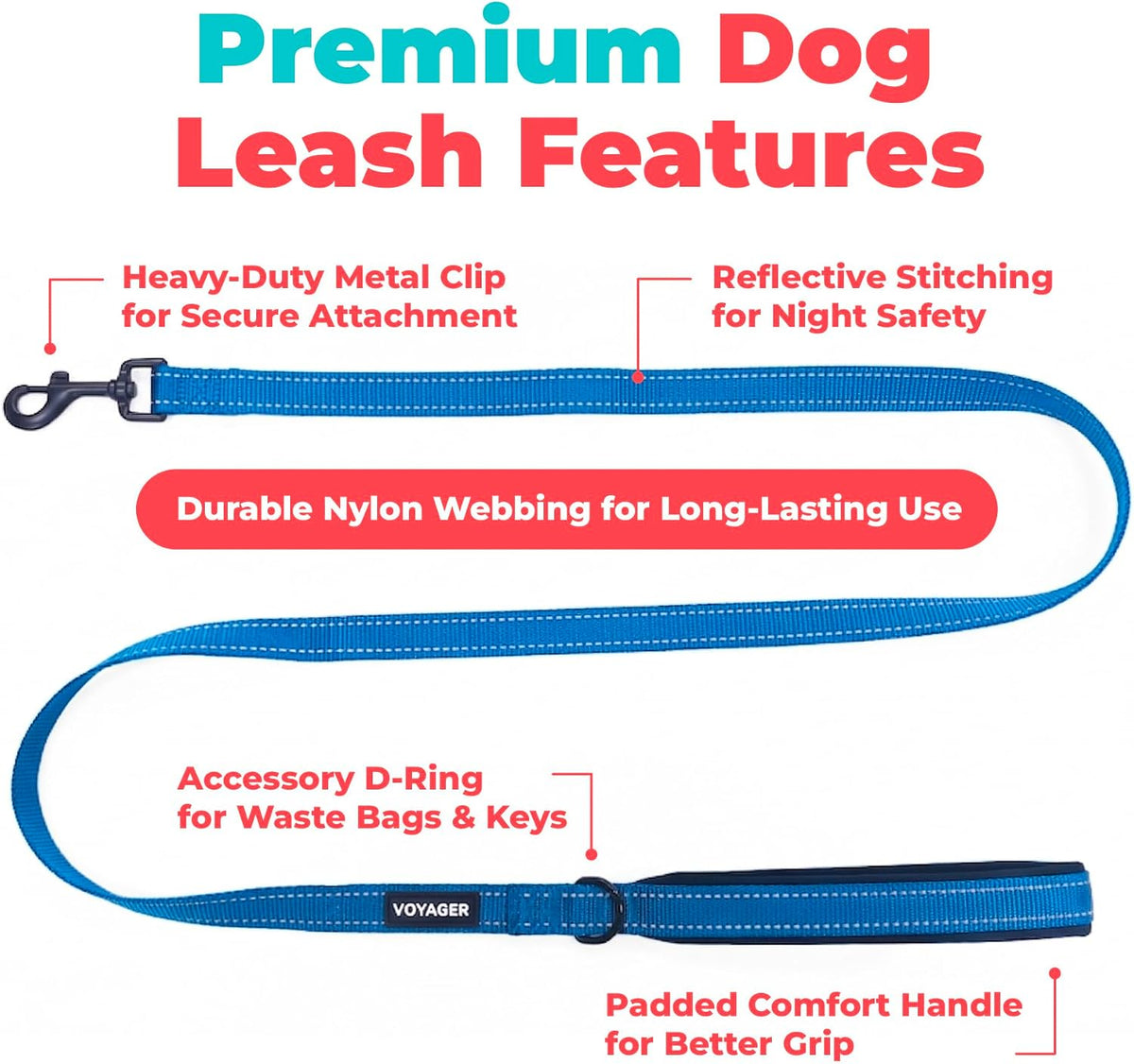 Best Pet Supplies Voyager Nylon Dog Leash - Royal Blue, Small