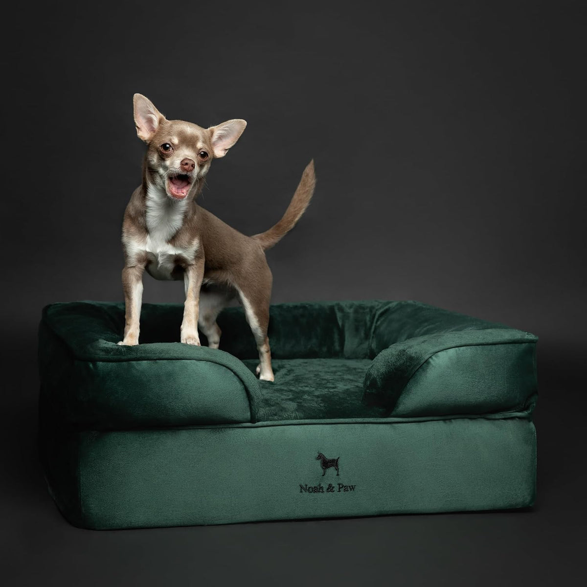 NOAH & PAW Dog Bed, Orthopedic Memory Cooling Foam (2X Base) 28x23x11in