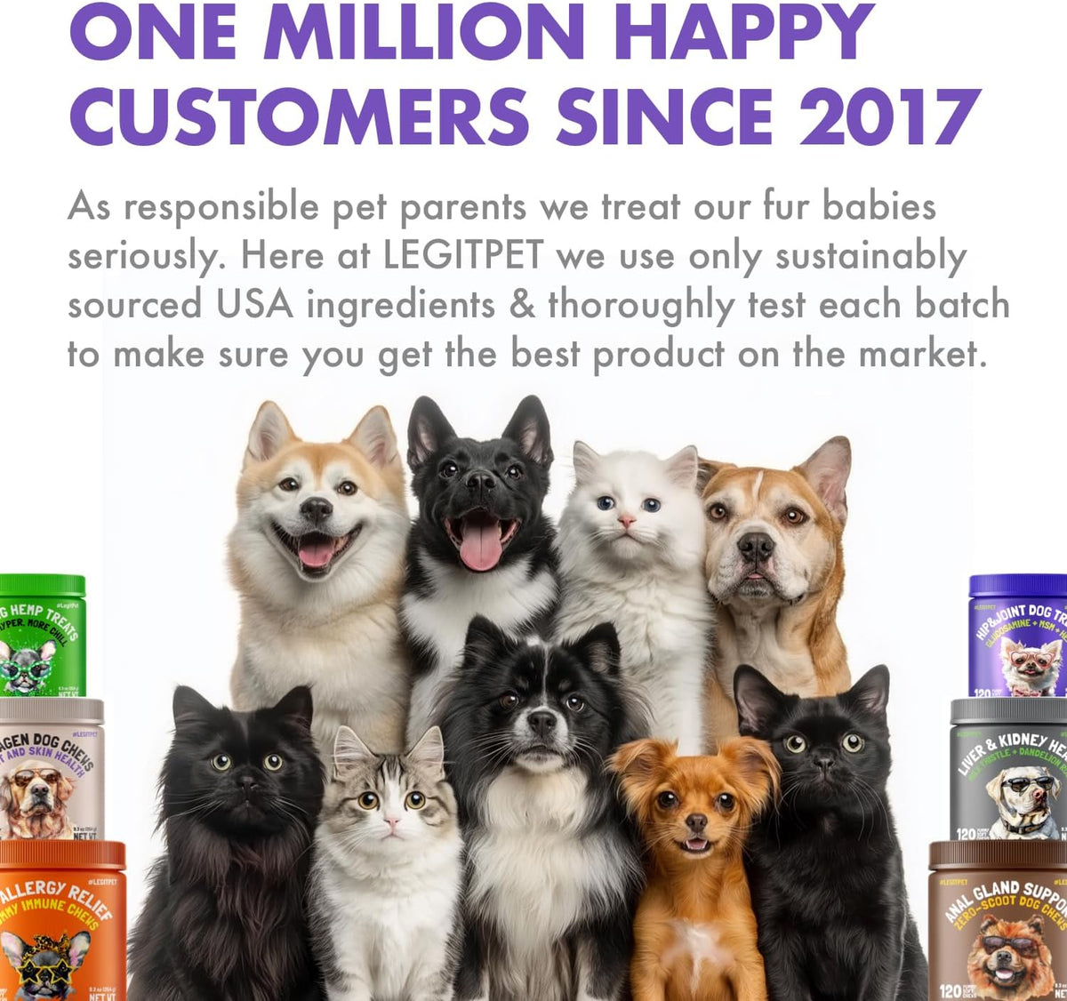 Premium Grass-Fed Collagen for Dogs & Cats Liquid Drops Supplement Daily Formula Support Hip & Joint Skin Coat Gut Hydrolyzed Type I & III Bovine Protein Beef Flavor All Dog and Cat Sizes & Ages