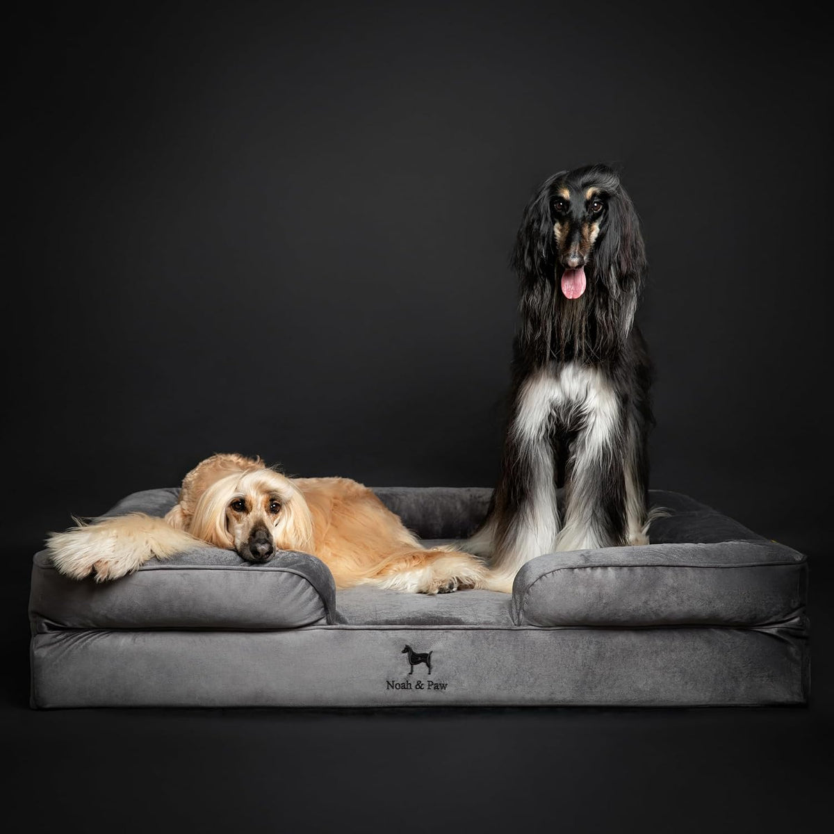 NOAH & PAW XXL Dog Bed, Orthopedic Memory Cooling Foam (2X Base) 55x45x11in