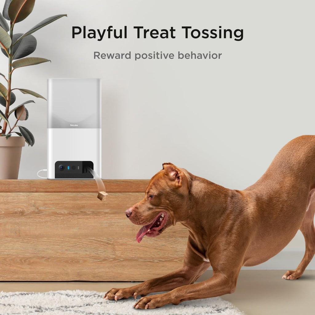 Petcube Bites 2 Lite Pet Camera [Subscription Required] - Treat Dispenser