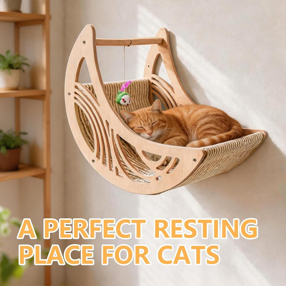 Moon & Star Cat Wall Shelves, Cat Wall Furniture for Indoor Cats