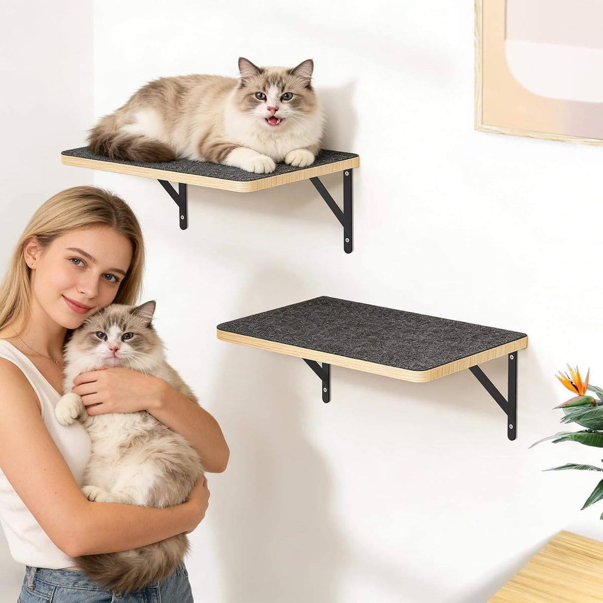 2PCS Cat Wall Shelves with 17 x 9.85 Inch Soft Felt Cushion, Solid Wood Cat Wall Furniture with Solid Wood, Wall Mounted Cats Shelves for Sleeping and Climbing, Cats Climb Perch Wall