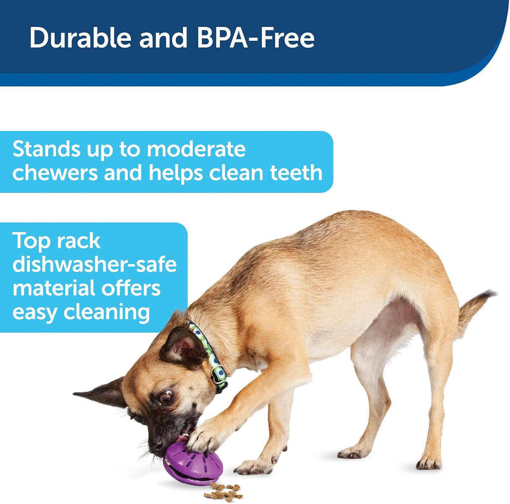 PetSafe Busy Buddy Twist 'n Treat Dispensing Dog Toy, Small