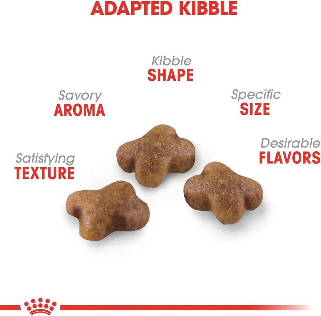 Royal Canin Feline Health Nutrition Dry Kitten Food, Supports Digestive Health, Immune Support and Healthy Energy, 3 lb Bag