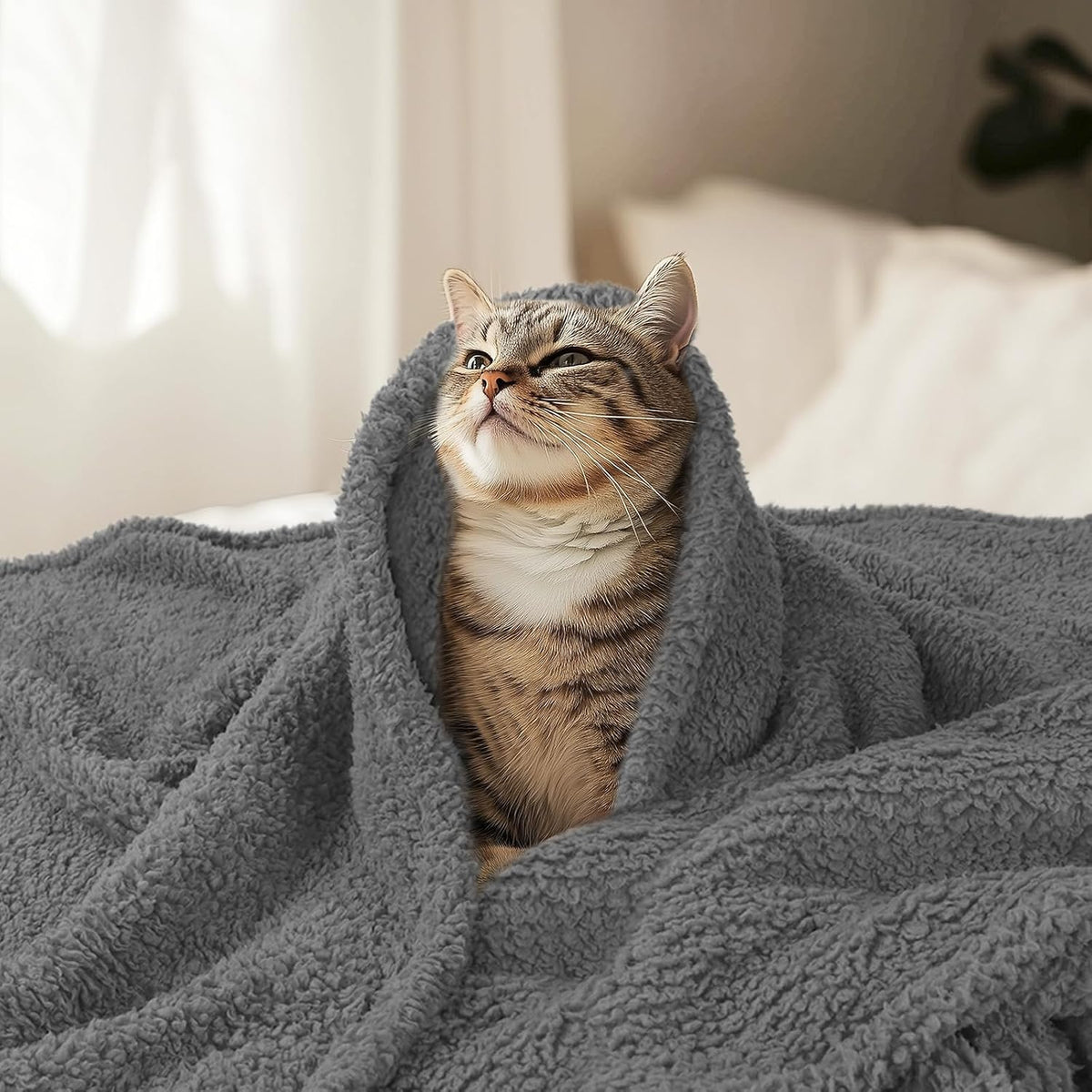 Luciphia Premium Fleece Dog Puppy Blanket Soft Pet Sherpa Calming Cat Blanket Throw for Small Medium Dog Cat(Grey,30x20 inches)