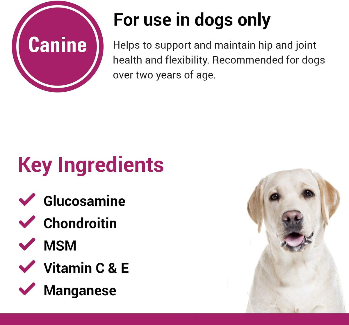 Vet Classics GCM Plus Hip & Joint Support Supplement for Dogs - 120 Ct