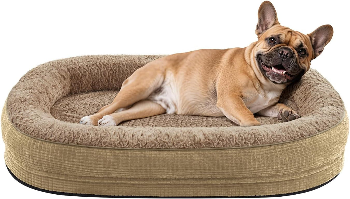 JOEJOY Orthopedic Dog Bed for Medium Dogs, 360° Oval Bolster, 28"