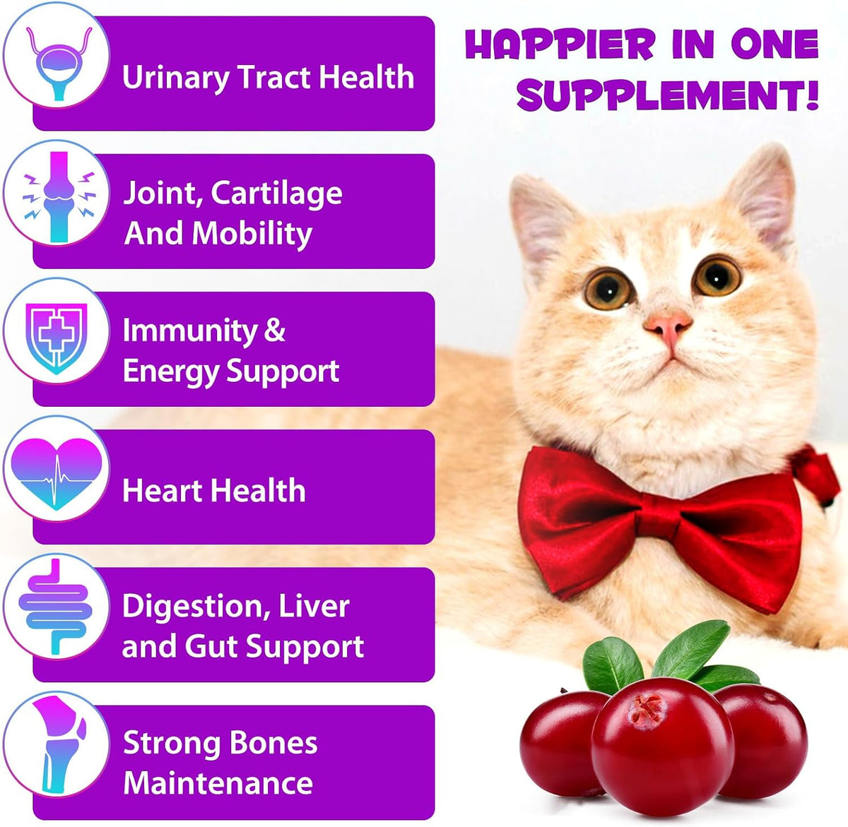 Cat Multivitamin, 15 in 1 Cat Multivitamin Liquid Drops, Cats Vitamins and Supplements with Glucosamine and Probiotics, Bones, Joint, Skin & Coat, Bladder, Immune System Support, 60ML