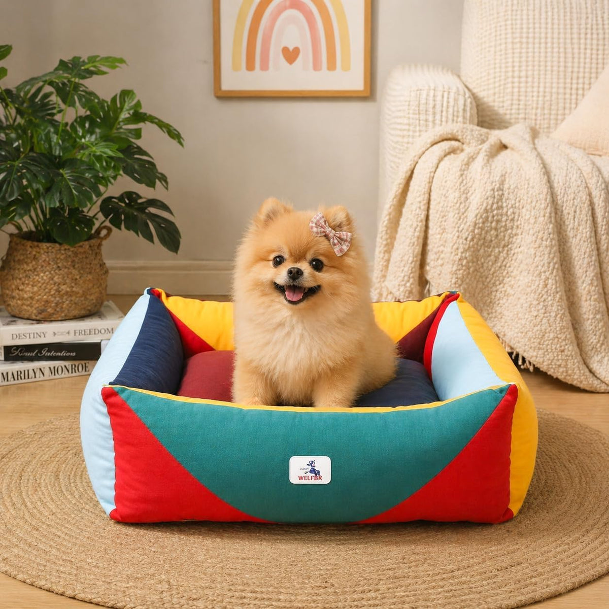 Cotton Canvas Dog Bed (290gsm Thick), 24"x20"x8" Durable Waterproof