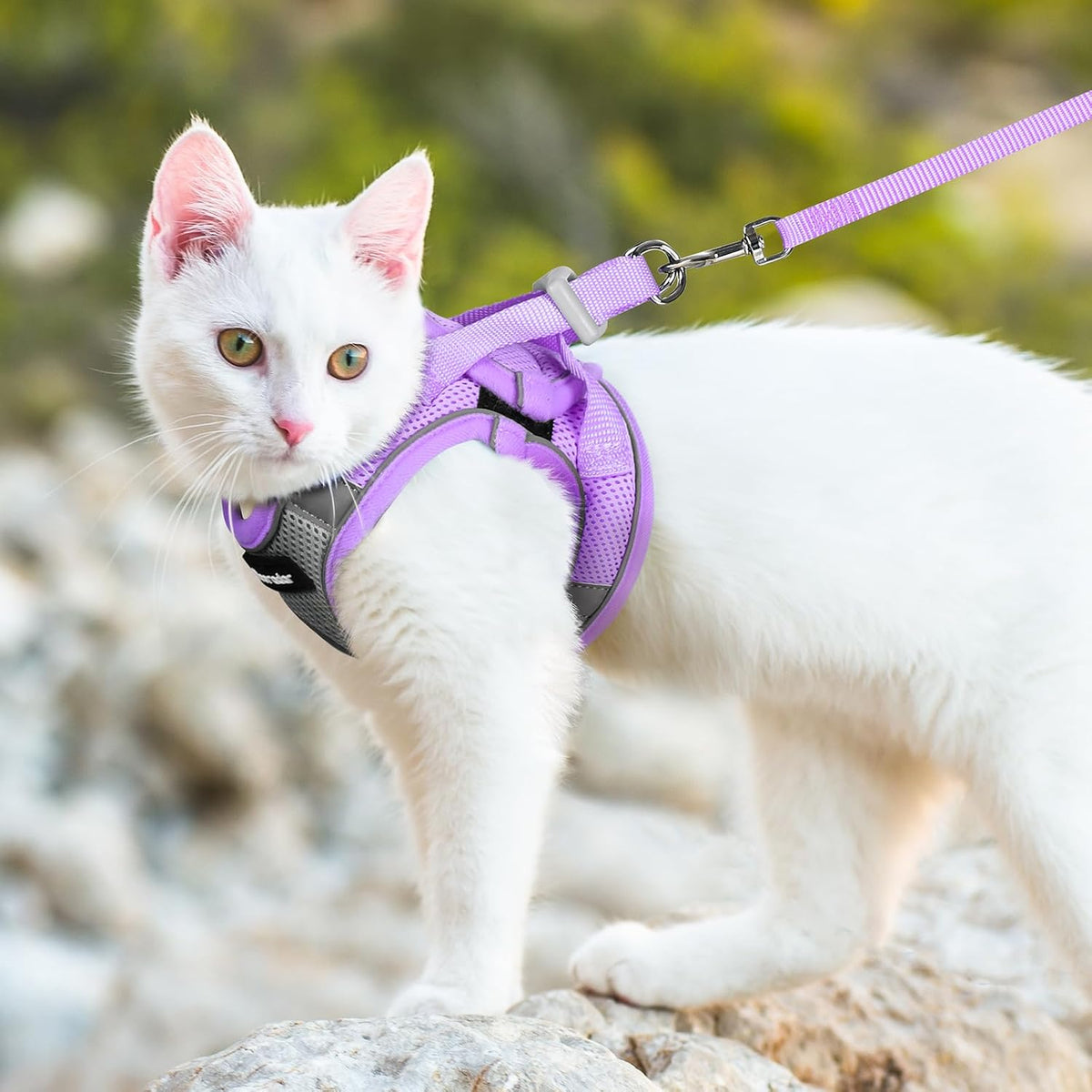 Dooradar Cat Harness and Leash Set, Easy-on Vest, Grey & Purple