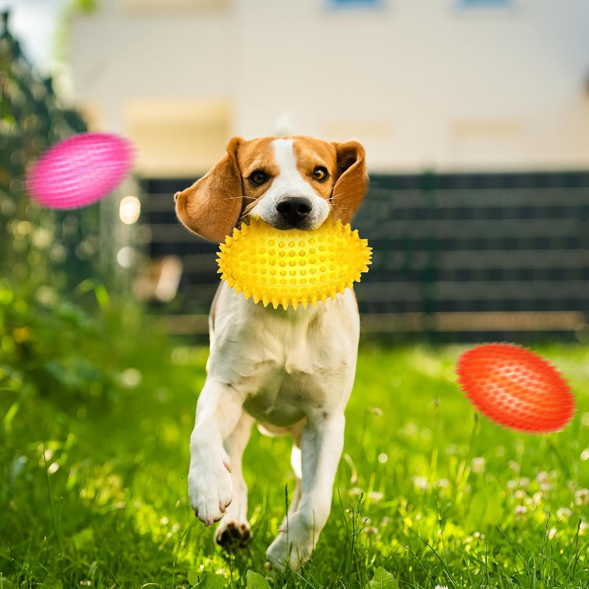 Gemscream 6 Pcs 4.7'' Squeaky Dog Toy Balls for Teething, 6 Colors