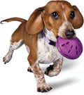 PetSafe Busy Buddy Twist 'n Treat Dispensing Dog Toy, Small