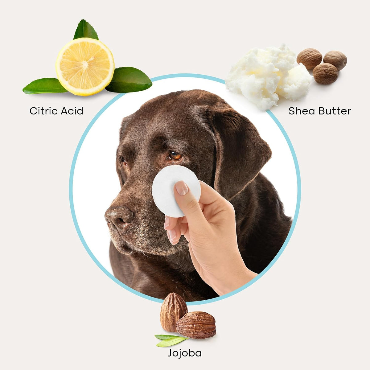 Uproot Clean Cat & Dog Eye Wipes: Hypoallergenic Eye Wipes for Dogs, 100ct.