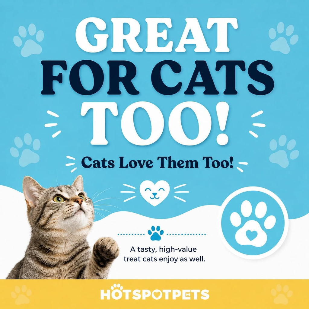 hotspot pets Freeze Dried Beef Liver Treats for Cats & Dogs - 1LB Big Bag 300+ Pcs - Made in USA, Single Ingredient, All Natural Grain-Free Beef Liver - Perfect for Training, Topper or Reward Snack