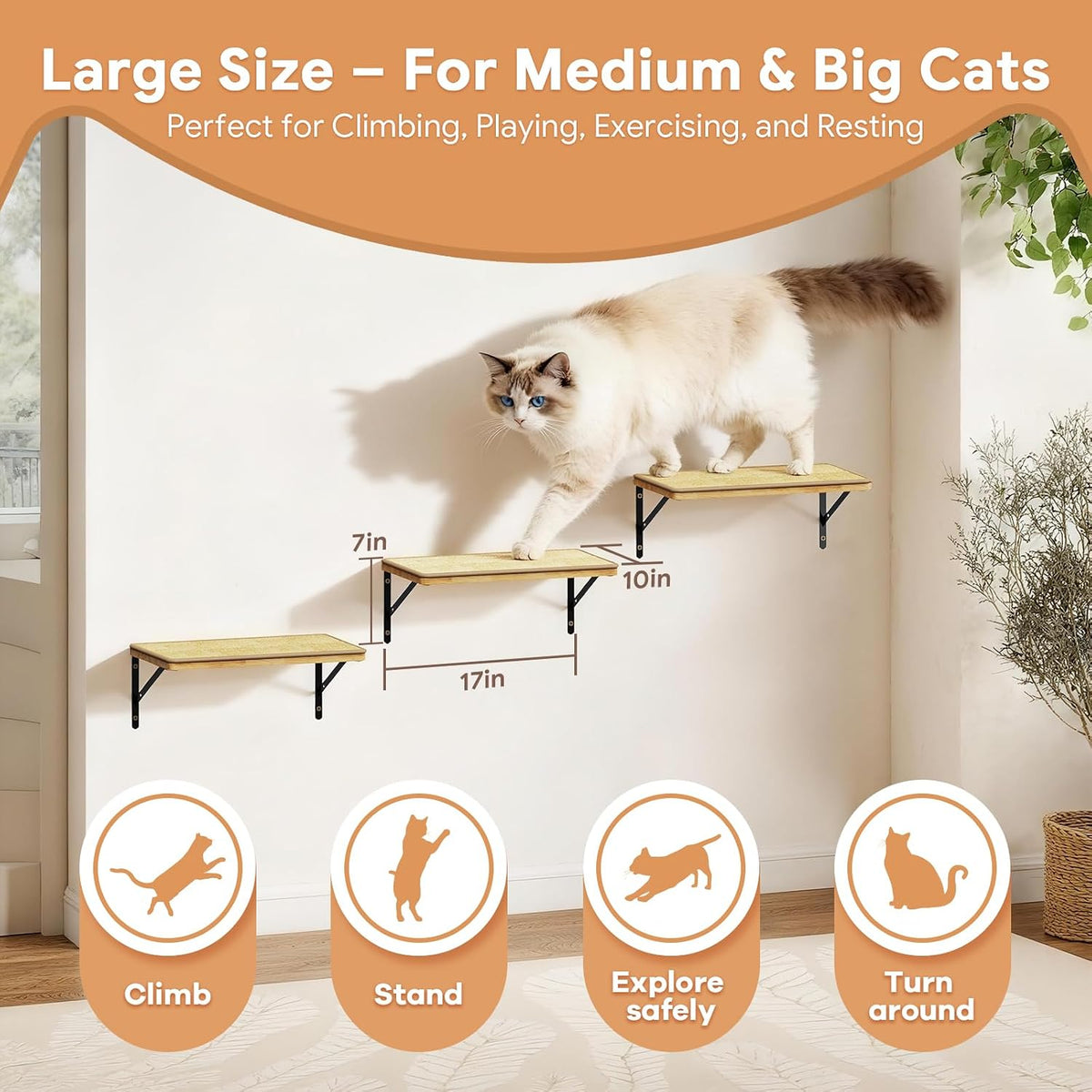 3Pcs 16.5"×10" Large Cat Wall Shelves - Wall Mounted Cat Shelves, Natural Wood with Fixtures for Large Cats and Kittens for Household Pets Sleeping, Playing, Climbing