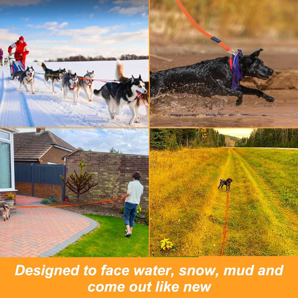 Vivifying Waterproof Long Dog Leash, 20ft Dog Training Leash, Orange