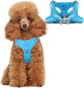 BARKBAY Small Dog Harness,No Pull Puppy Harness,Step-in Dog Vest