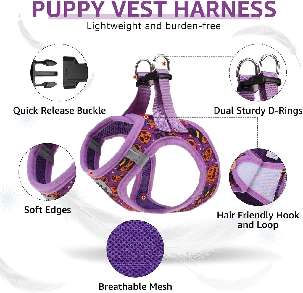 SCENEREAL Halloween Small Dog Harness Collar and Leash Set, Step-in No Pull