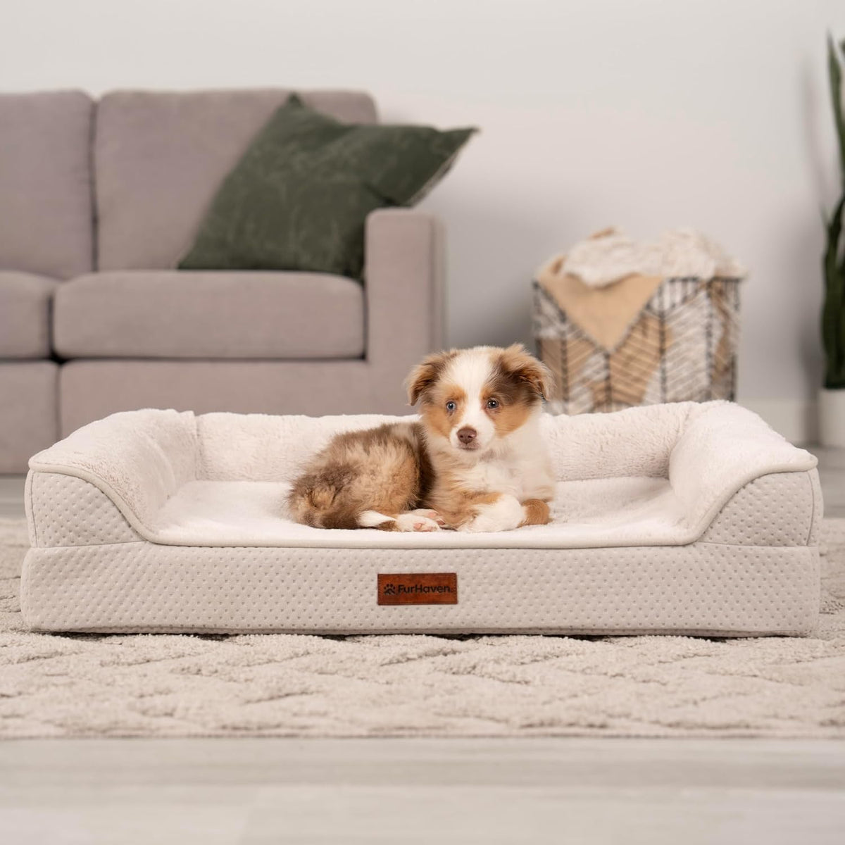 Furhaven Plush & Embossed Velvet Cooling Gel-Top Dreamer Sofa Pet Bed, Clay, Medium