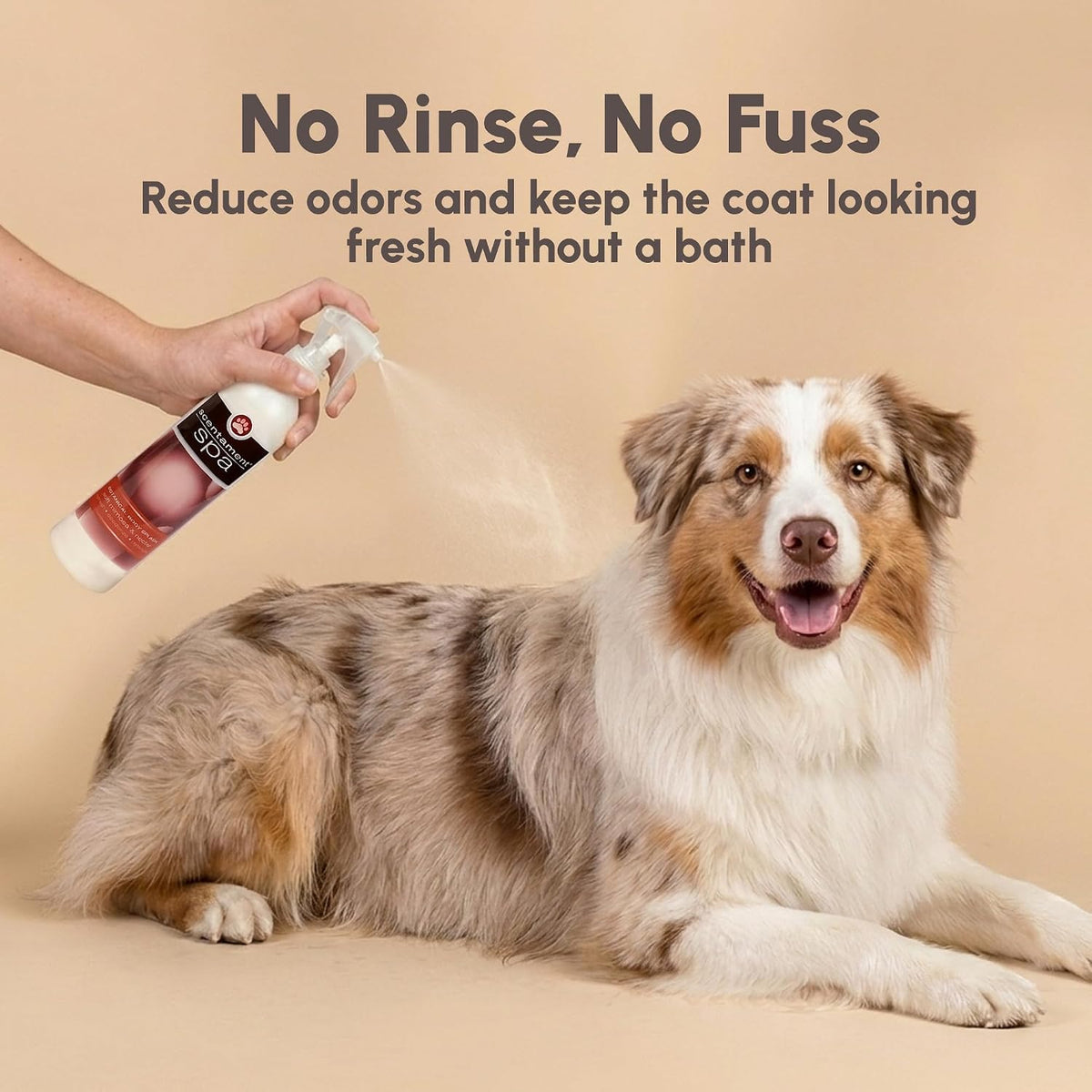 Best Shot Scentament Spa Botanical Body Splash, Body Spray Conditioner for Pets, Cat and Dog Cologne Spray, Soft Mimosa Nectar, 8 Oz.