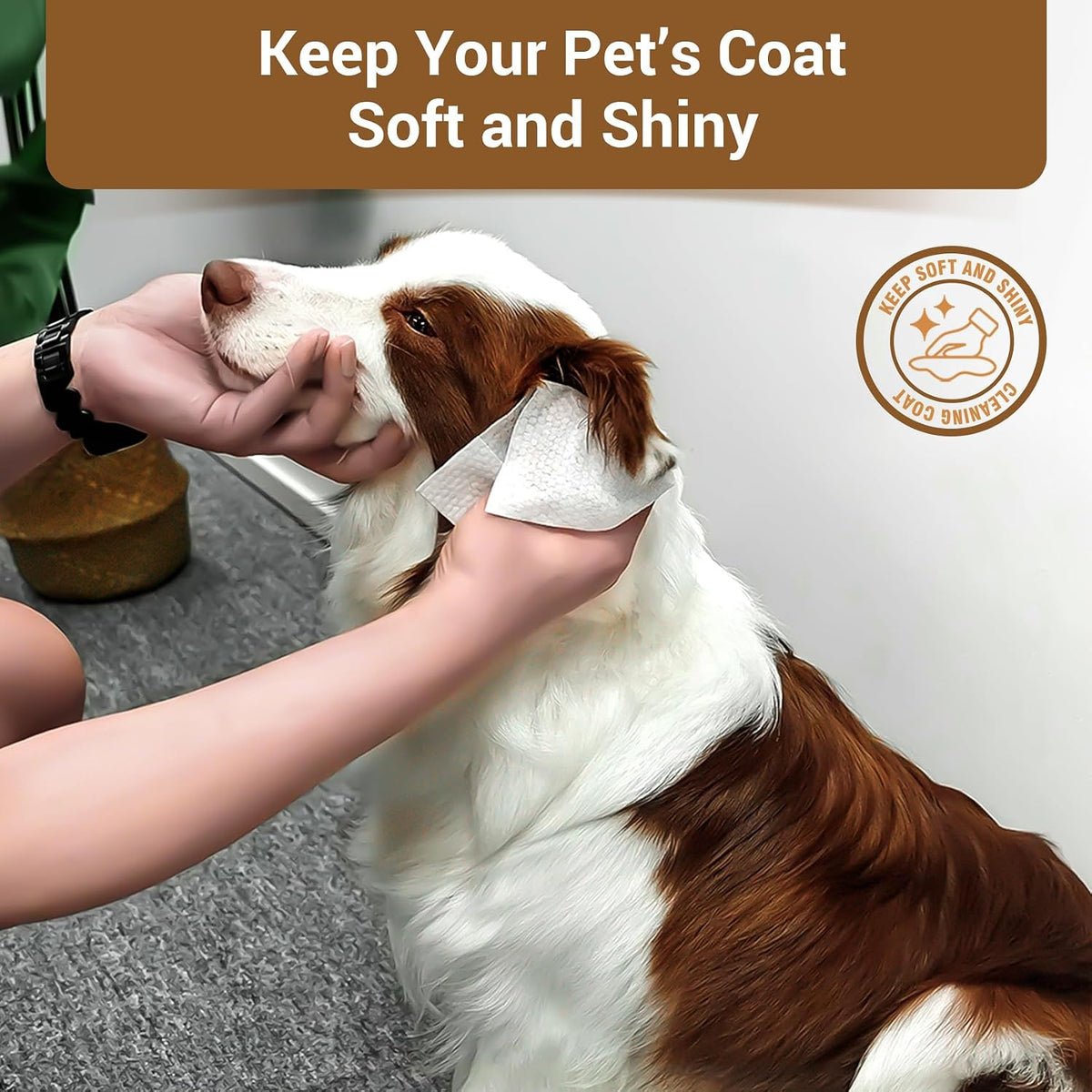 100 Coconut Oil Dog Wipes for Paws and Butt Large Thick Puppy Wipes for Dogs Face and Body Dog Wipes Cleaning Deodorizing Cat Wipes Cleaning Fur and Butt Big Doggie Wipes Doggy Wipes Bum Dog Ear Wipes