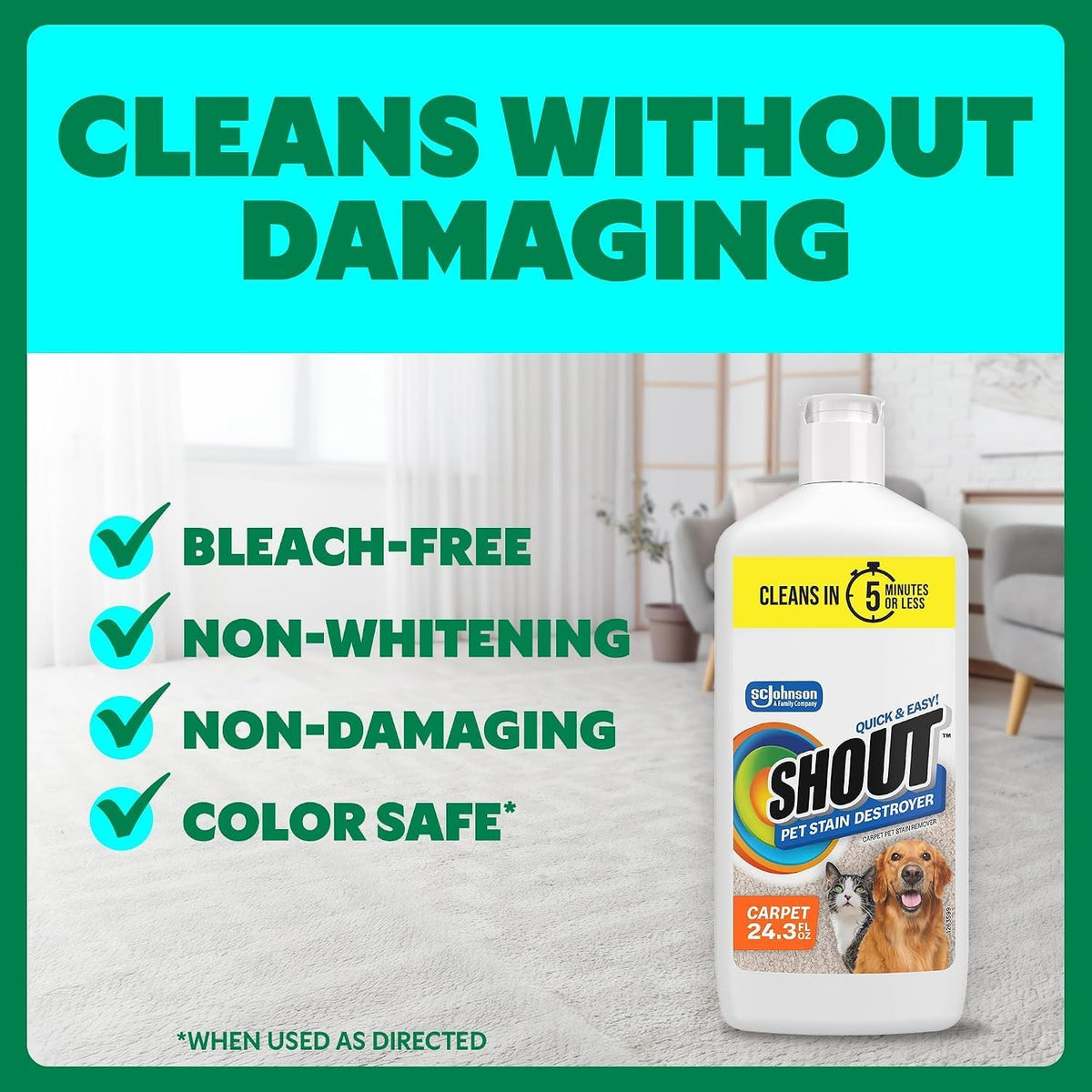 Shout Pet Stain Remover, Color-Safe Rug, Upholstery & Carpet Cleaner Solution for Dog & Cat Urine, Feces, Vomit & Mud, Fights Odors & Remarking, Fast-Acting Cleans in 5 Minutes or Less, 24.3oz