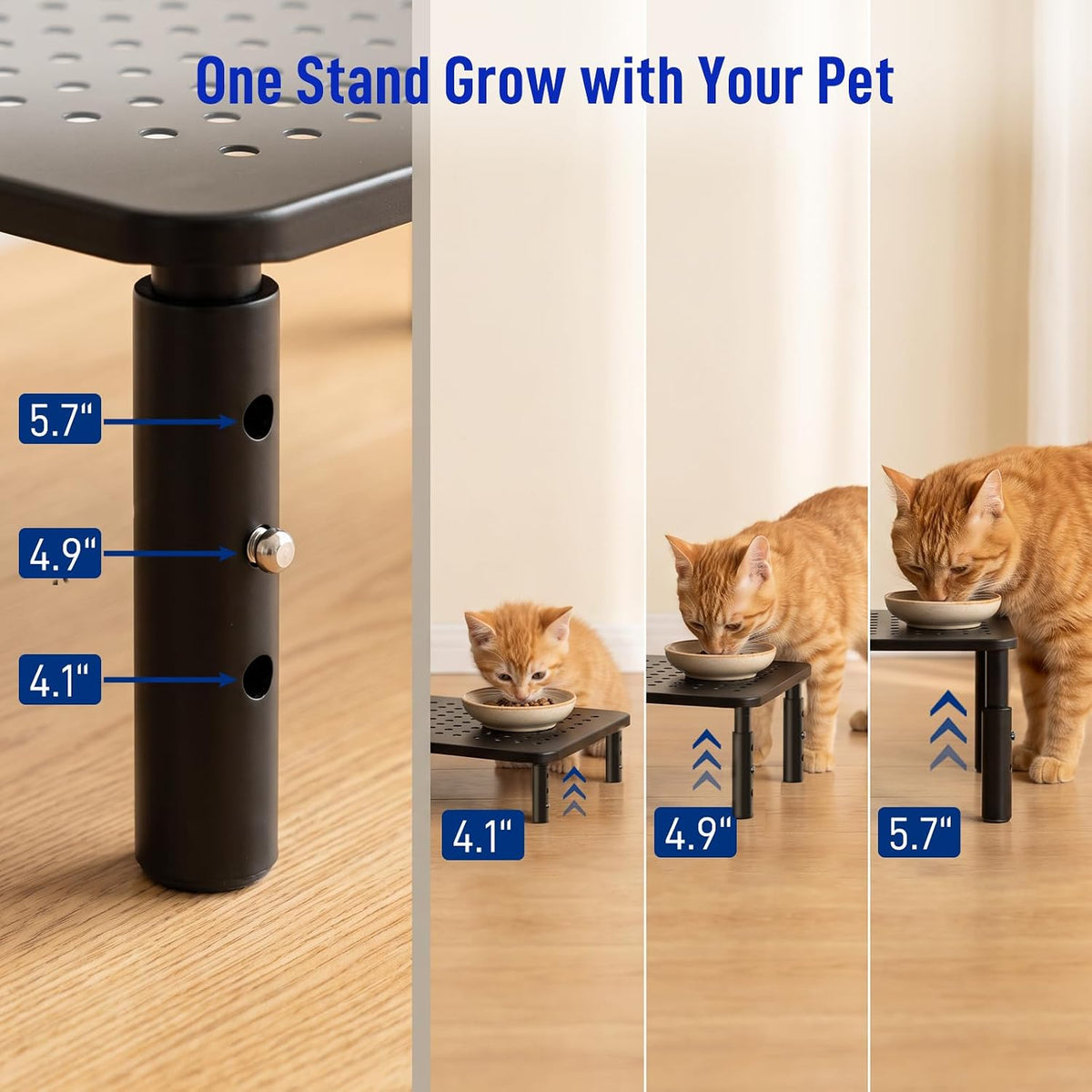 Elevated Cat Food Stand, Height Adjustable for Multi-Size Pet